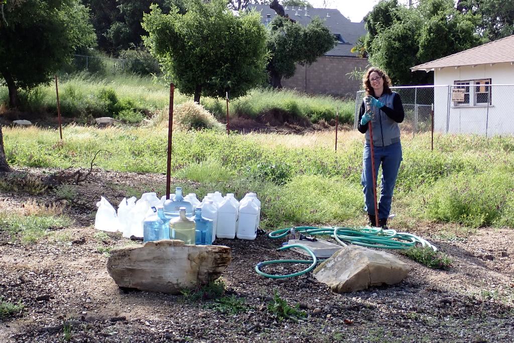 Watering jugs all filled up and ready to go!